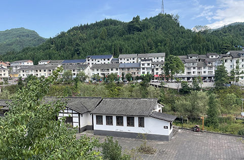 鄉村民宿改造